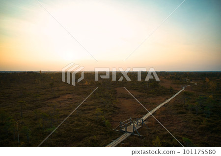 A drone photo of expansive summer swamps with winding streams, tall reeds and grasses, and green and brown wetlands. Capturing the natural serene nature scenery of this remote and unspoiled wilderness 101175580