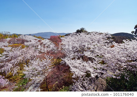 Seiryuden Shogunzuka 101176040