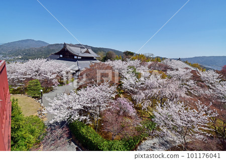 青龍傳將軍塚 101176041