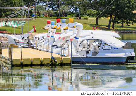 Swan boat floating on the river 101176104