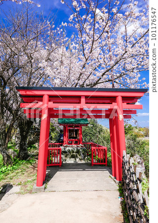 濱松城的紅色鳥居(垂直) 濱松城的紅色鳥居(垂直) 101176547