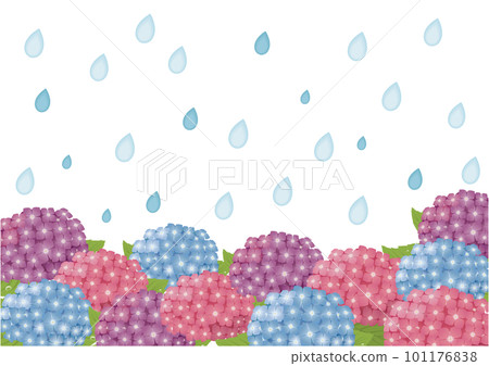 rainy hydrangea background rainy hydrangea background 101176838