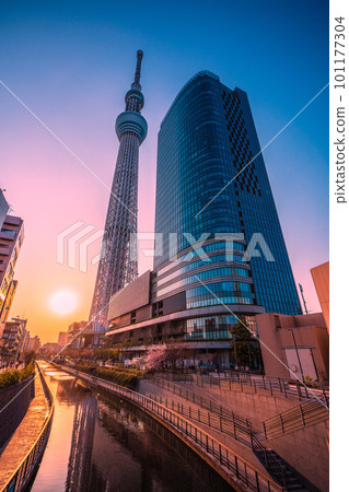Tokyo cityscape in Japan Tokyo Sky Tree and the sun (sunset) etc. Tokyo cityscape in Japan Tokyo Sky Tree and the sun (sunset) etc. 101177304