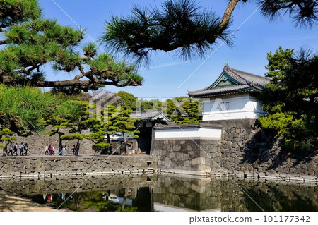 皇宮白樺門 101177342