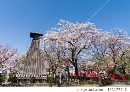 Cherry blossoms in full bloom and Sumiyoshi Lighthouse shining against the blue sky Ogaki Cherry blossoms in full bloom and Sumiyoshi Lighthouse shining against the blue sky Ogaki 101177842