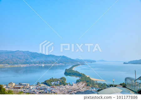 Amanohashidate and cherry blossoms in full bloom, the three most scenic views of Japan, Kyoto, Miyazu, tourist attractions 101177886