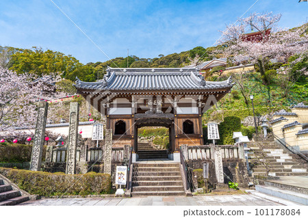 [No. 23 Fudasho] Spring Yakuoji Temple Niomon [Shikoku 88 places] 101178084