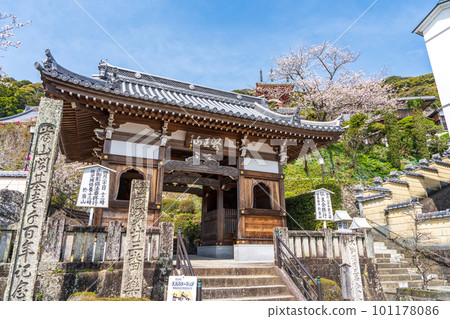 [No. 23 Fudasho] Spring Yakuoji Temple Niomon [Shikoku 88 places] 101178086