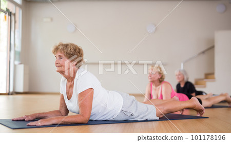 Group of elderly women performs an exercise in the dog pose face up Group of elderly women performs an exercise in the dog pose face up 101178196