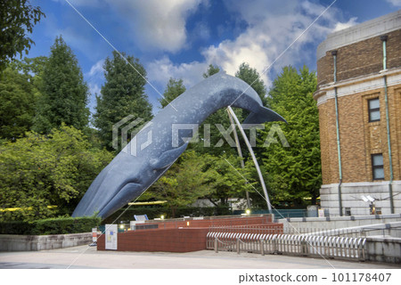 上野恩賜公園/國立科學博物館 101178407