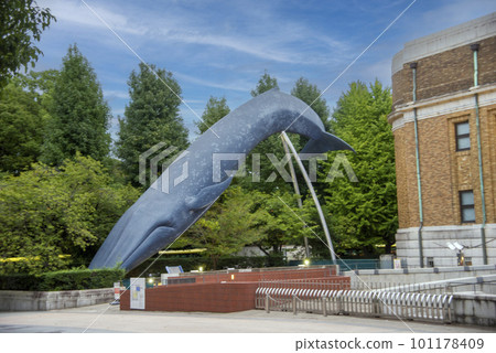 Ueno Onshi Park/National Museum of Nature and Science 101178409