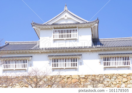 Tsuyama Castle 101178505