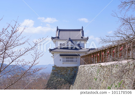 Tsuyama Castle 101178506
