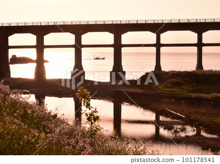 Sogo River Bridge-1 101178541