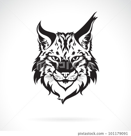 Vector of a lynx head design on white background. Wild Animals. Vector of a lynx head design on white background. Wild Animals. 101179091