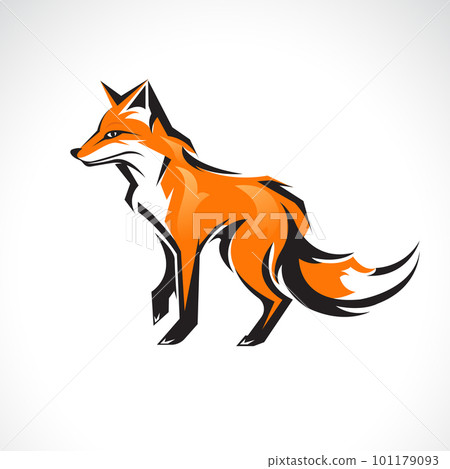 Vector of a fox design on white background. Wild Animals. Vector of a fox design on white background. Wild Animals. 101179093