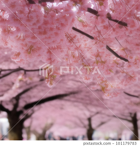 櫻花風景AI代 櫻花風景AI代 101179783