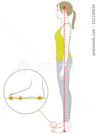 側身站立正確姿勢的女人 101180816