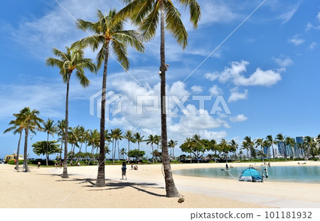 夏威夷的假期 夏威夷的假期 101181932