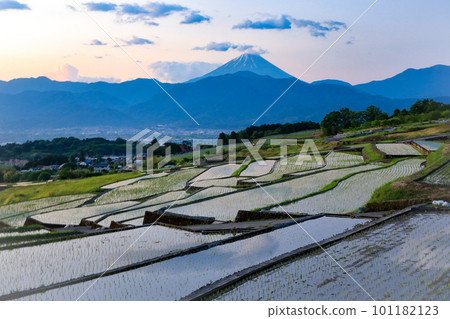 Landscape of rice terraces in spring and Mt. Fuji at dawn, Minami-Alps City, Yamanashi Prefecture 101182123