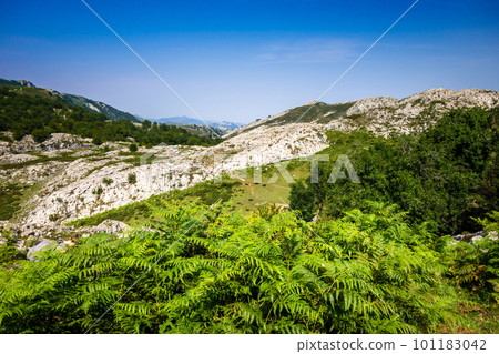Mountain landscape in Picos de Europa, Asturias, Spain 101183042