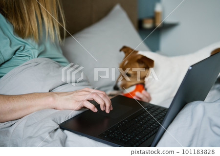Woman with cute dog relaxing in bed at morning and use laptop. Comfortable work from home for freelancer. Spending time together, pet affection Woman with cute dog relaxing in bed at morning and use laptop. Comfortable work from home for freelancer. Spending time together, pet affection 101183828