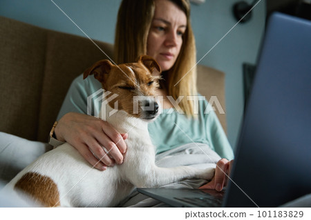 Woman with cute dog relaxing in bed at morning and use laptop. Comfortable work from home for freelancer. Spending time together, pet affection Woman with cute dog relaxing in bed at morning and use laptop. Comfortable work from home for freelancer. Spending time together, pet affection 101183829