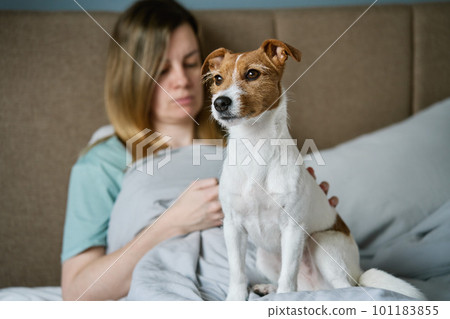 Woman with cute dog chilling in bed at morning and use smartphone, lazy morning. Spending time together, pet affection 101183855
