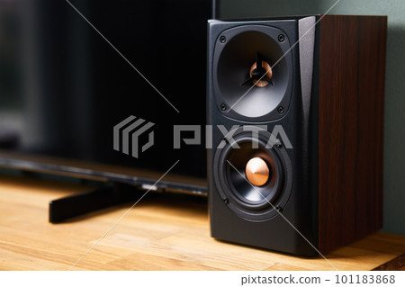 Sound speaker in living room interior. Set for listening music. Audio equipment 101183868