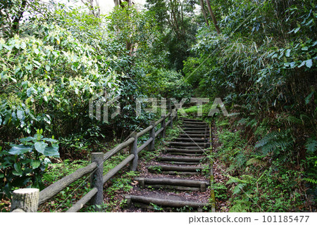 Maedagawa Promenade End of Ogatase Bridge and Ogusuyama Hiking Course Maedagawa Promenade End of Ogatase Bridge and Ogusuyama Hiking Course 101185477