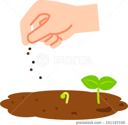 Sowing hands and germinated sprouts 101185598
