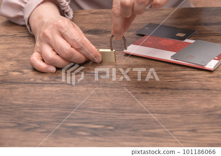 [想像存摺和卡安全的家庭主婦] 101186066