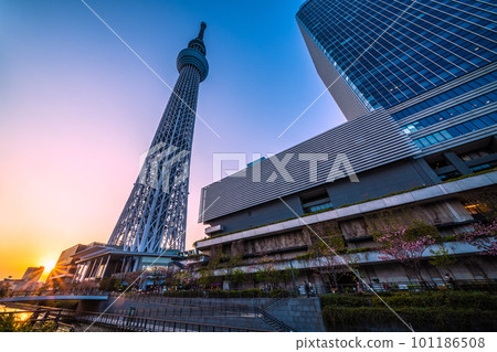 Tokyo cityscape in Japan Tokyo Sky Tree and the sun (sunset) etc. Tokyo cityscape in Japan Tokyo Sky Tree and the sun (sunset) etc. 101186508