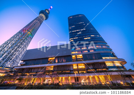 Tokyo cityscape in Japan View of the illuminated Tokyo Sky Tree etc. 101186884