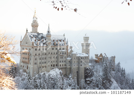 Neuschwanstein Castle in winter landscape, early morning 101187149