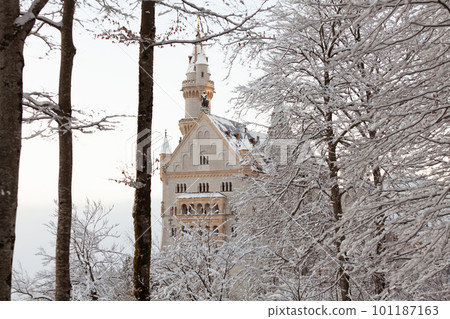 Neuschwanstein Castle in winter landscape, early morning 101187163