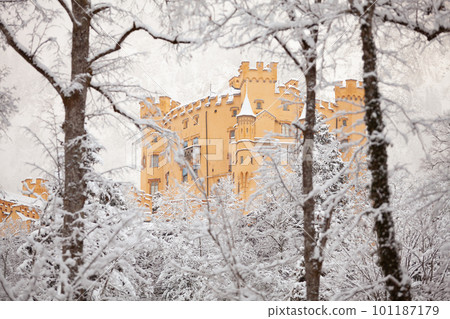 Hohenschwangau Castle in winter landscape, early morning Hohenschwangau Castle in winter landscape, early morning 101187179