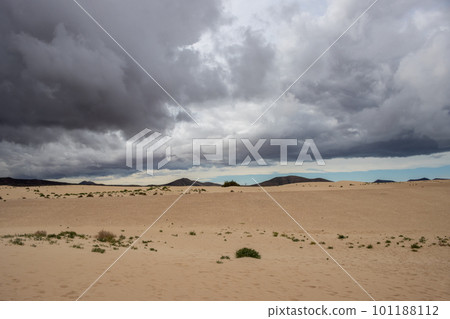 Sand dunes and cloudy sky, Fuerteventura, Spain Sand dunes and cloudy sky, Fuerteventura, Spain 101188112