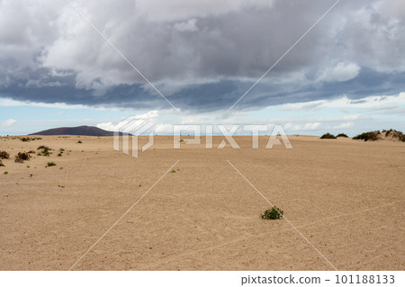 Desert and a cloudy sky, Corralejo, Spain Desert and a cloudy sky, Corralejo, Spain 101188133