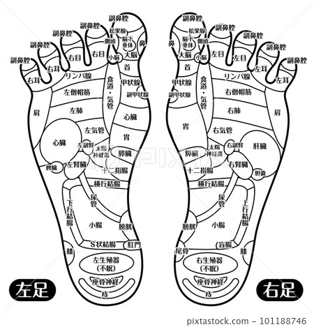 腳底反射區足盆插畫_A（帶文字的線條） 101188746