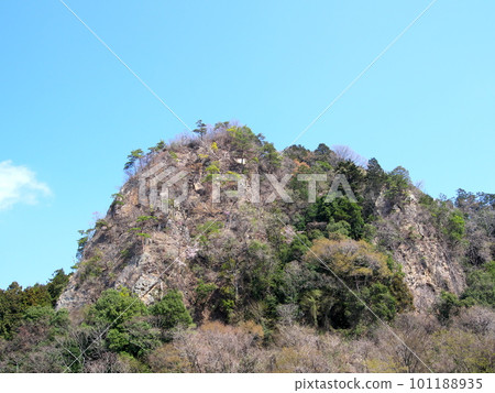 Mt.Fuji in spring 101188935