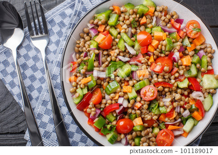 Fresh lentil salad with summer vegetables close-up in a plate. Horizontal top view 101189017