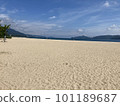 Early summer White sand beach and blue sky 101189687