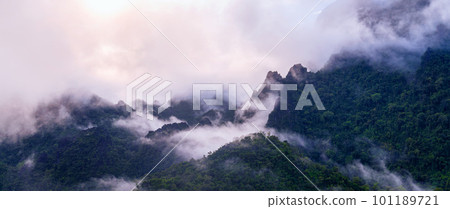 Panoramic of Beautiful landscape in morning. limestone mountains covered by mist in Vang vieng, Laos. Panoramic of Beautiful landscape in morning. limestone mountains covered by mist in Vang vieng, Laos. 101189721