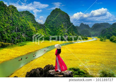Asian woman wearing Vietnam culture traditional at Tam coc, Vietnam. 101189727