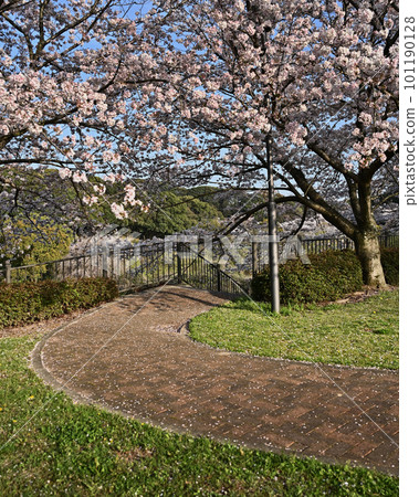 Takeno Kiba Park (Omura City, Nagasaki Prefecture) 101190128