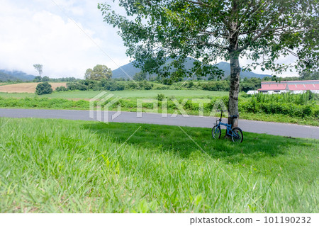 Cycling image of early summer and fresh green (Hiruzen Kogen) 101190232