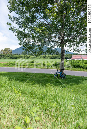 Bicycle under the shade of trees (Hiruzen Kogen) 101190233