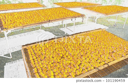 Illustration Umeboshi Sun dried in summer Illustration Umeboshi Sun dried in summer 101190459