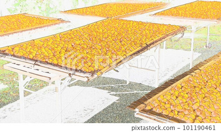 插圖 Umeboshi 太陽在夏天曬乾 101190461
